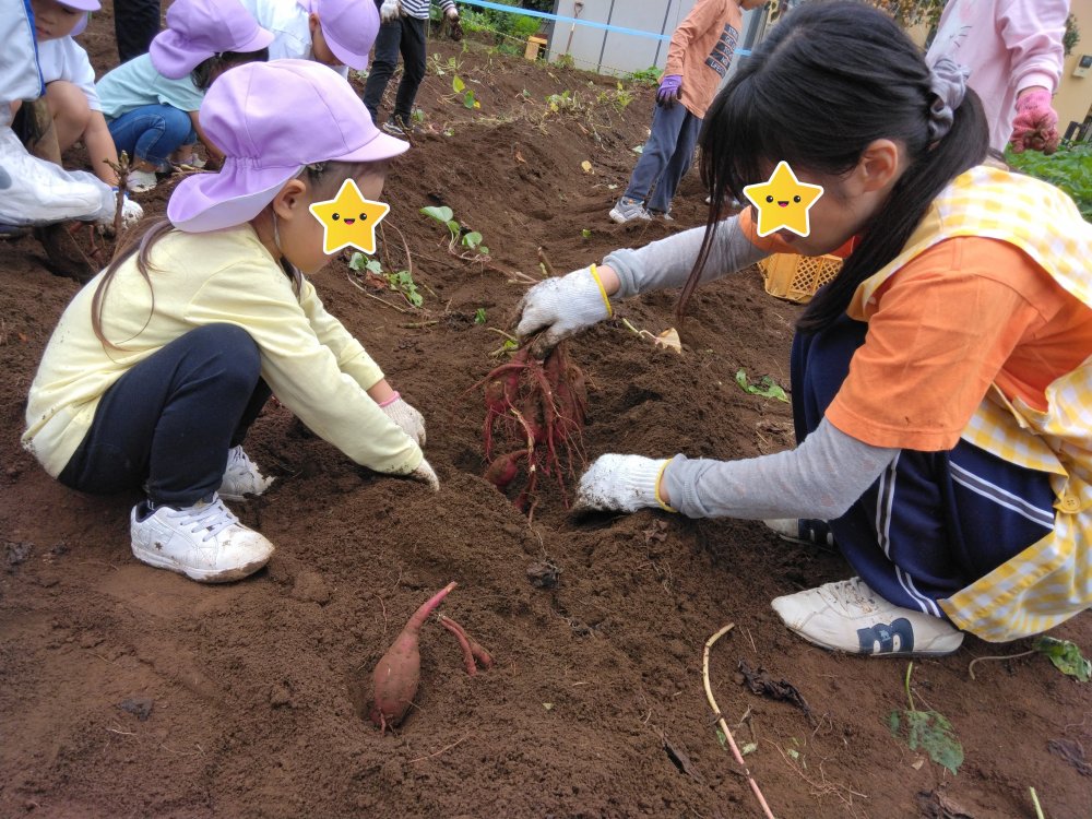 20251023165403.jpg 20251023165403.jpg