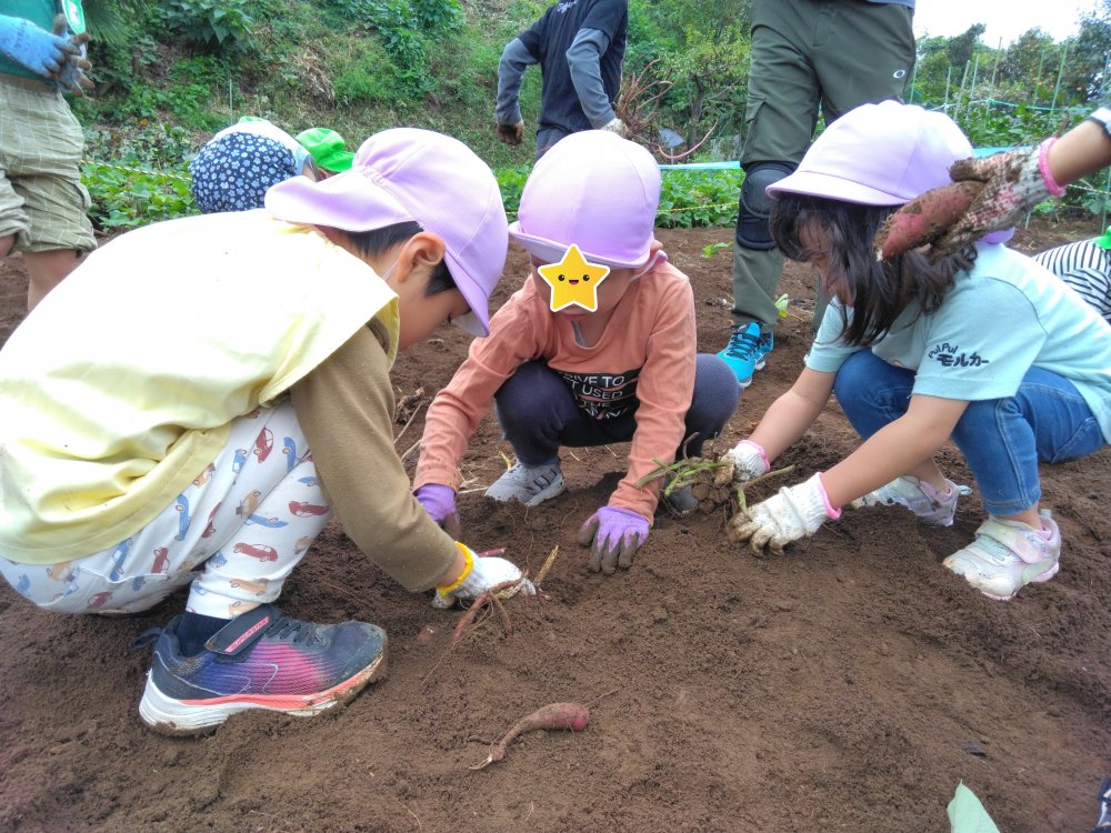 20251023165418.jpg 20251023165418.jpg