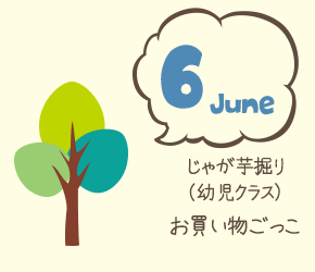 6月 保育参観 じゃが芋掘り（幼児クラス） お買い物ごっこ